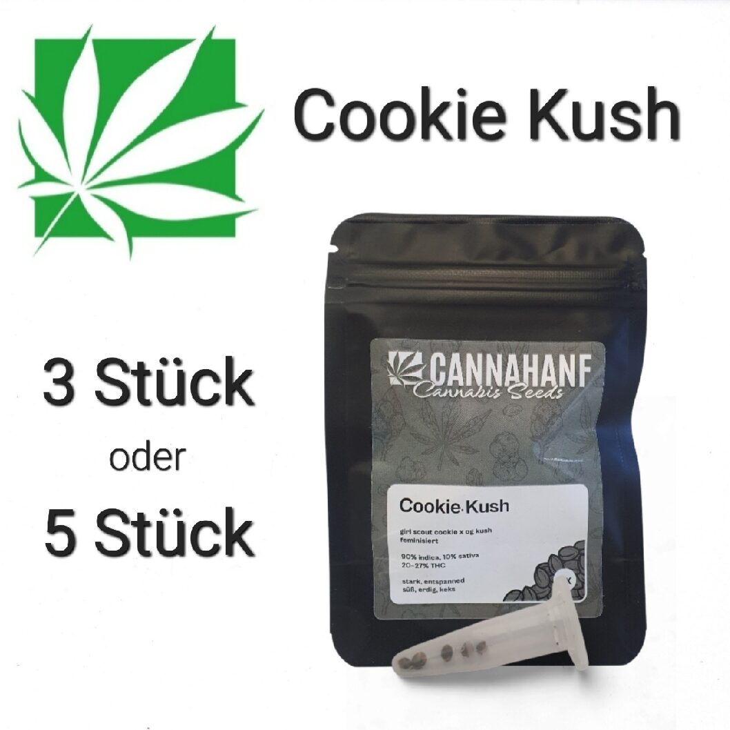 Cookie Kush Feminisiert - 3 Stk.