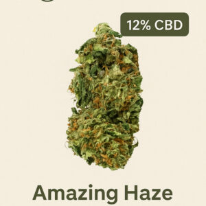 Amazing Haze CBD