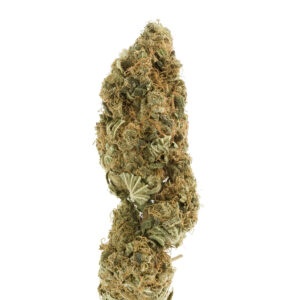 Double Cinnamon CBD
