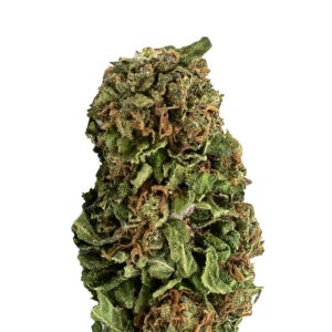 Orange Cow CBD
