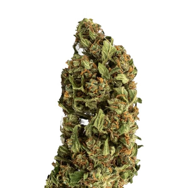 Banana Kush Hanfblüte