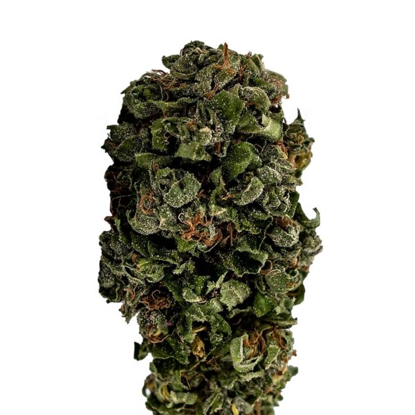 Tonic CBG Hanfblüte